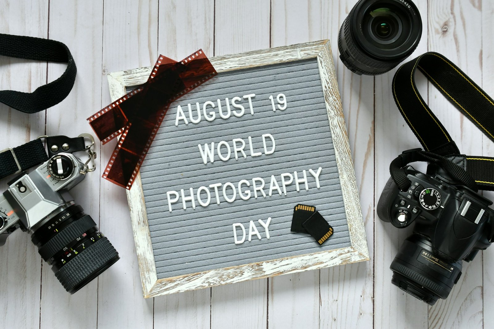 August 19 World Photography Day old film SLR camera & modern DSLR negatives SD cards